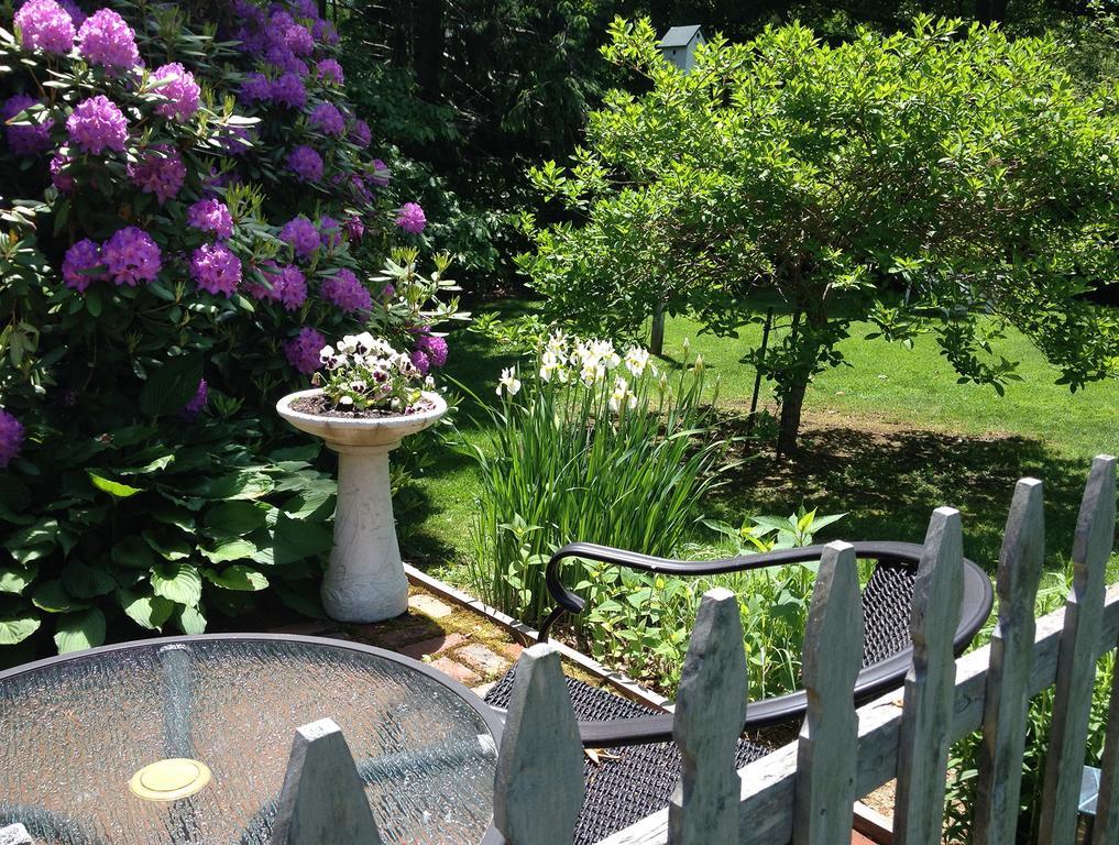 Morning Glory Inn 요크 하버 외부 사진