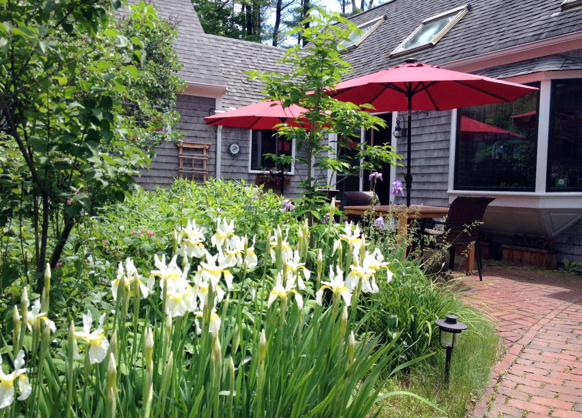 Morning Glory Inn 요크 하버 외부 사진